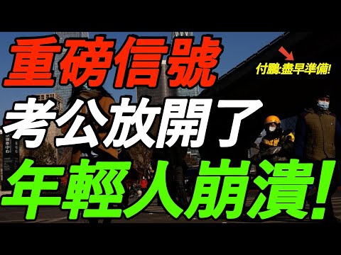 重磅信号！考公放开了！年轻人越来越难！付鹏警告，要尽早做准备！