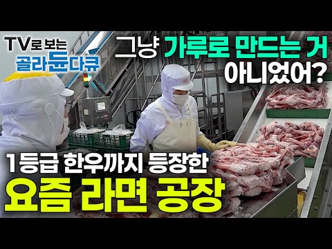 [ENG SUB] How Korea Produces 200,000 Ramen Packs a Day in a Massive Factory #PICKDOCU