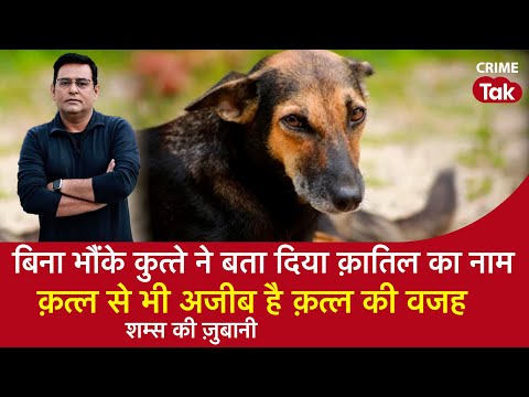 EP 1585: बिना भौंके कुत्ते ने बता दिया क़ातिल का नामक़त्ल से भी अजीब है क़त्ल की वजह