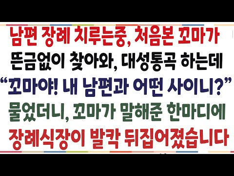 (반전신청사연)남편 치루는 중, 처음본 꼬마가 뜬금없이 찾아와 대성통곡 하는데! 꼬마에게 누구냐고 물었더니, 꼬마 한다미에 장례식장이 뒤집히는데[신청사연][사이다썰][사연라디오]