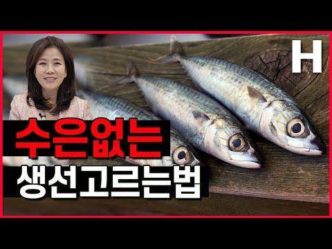생선 먹고 수은중독? 수은 없는 안전한 생선 고르는 법