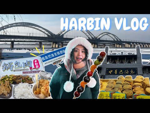 零下20度的哈爾濱CITY WALK是什麼樣的體驗🥶⎮ 台灣小土豆的哈爾濱VLOG（下）