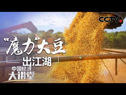 我国能否实现大豆自给自足？如何充分利用自有的大豆种质资源培育高产优质大豆？「中国经济大讲堂」 20220717 | CCTV财经