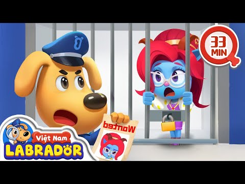 Cảnh sát Labrador truy bắt tên lừa đảo 👮 Cảnh sát trưởng Labrador Vietnam 🚔