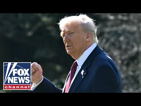 'Stop attacking Trump’: Dem urges party to move forward in surprise twist