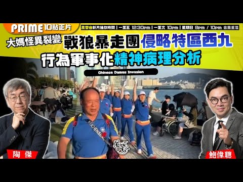 Chapter 1494：【AI字幕】 大媽怪異裂變 戰狼暴走團侵略特區西九 行為軍事化精神病理分析｜風雲谷｜2025/11/15