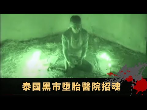 楊天經地下室睡房怪談 泰國黑市墮胎醫院招魂 惡臭異常嬰靈怨氣沖天 - TVB詭異檔案 鬼故事 在線重溫 ep25下丨司徒法正 梁嘉琪 楊天經 李思雅 朱鑑徽