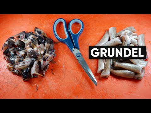 Goby | XXL Filleting!