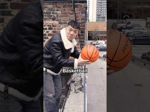 Which Ball Will Bounce the Highest?