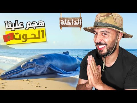 مغامرة صيد وتخييم في افضل مصيد في الصحراء 🎣 شوفو شنو وقع ميمكنش VLOG 5