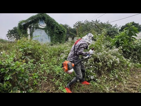 Strange things kept happening at the house… in the overgrown garden.
