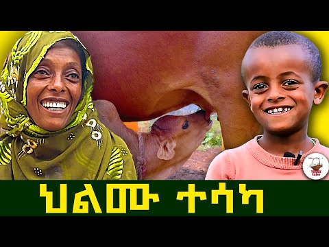 ✅ እድለኛው የገጠር ልጅ በመጨረሻ ህልሙ ተሳካ !  አምስት አመት የፈጀው አስደናቂ ታሪክ።  @Tossatube.   #የገጠርለዛ  #rurallife  #kids