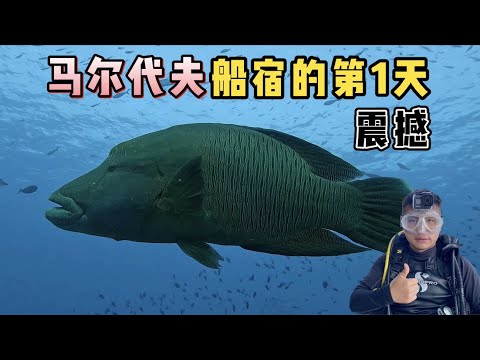 《环球探海记》马尔代夫 第3天：没想到疫情期间的马代船宿，依旧如此火爆！   #马尔代夫 #潜水 #船宿 #旅行攻略