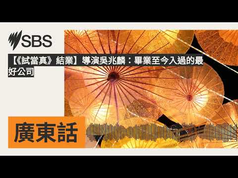 【《試當真》結業】導演吳兆麟：畢業至今入過的最好公司 | SBS Cantonese - SBS廣東話節目
