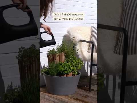 Dein kleiner Kräutergarten zum Selbermachen 🌿