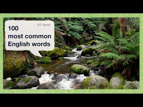 100 Most Common English Words A1 | Relaxing Australian Forest Ambience for Sleep or Study