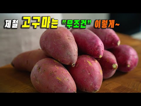 제철 고구마는 "이 방법이" 최고입니다. 👍👍맛있다고 가족들이 고구마 또 사왔어요~ 추천 고구마요리 3가지 강쉪