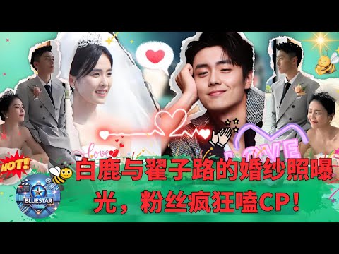 Bai Lu and Zhai Zilu's wedding photos are exposed, and fans are crazy about the couple!