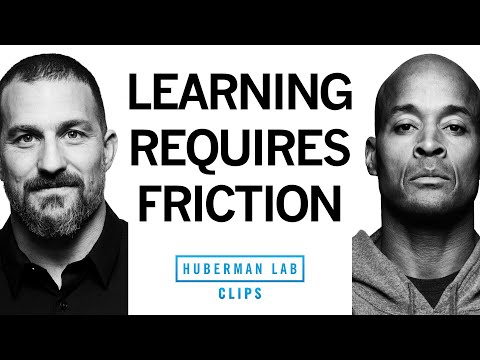 How David Goggins Studies & Learns | David Goggins & Dr. Andrew Huberman