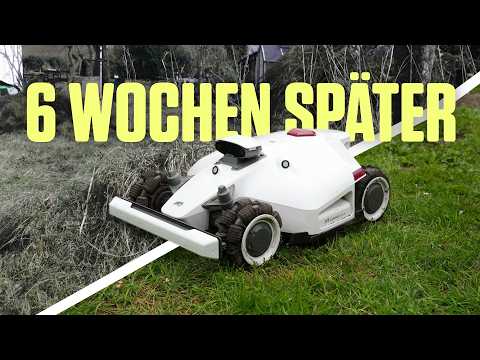 Ich habe einen Mähroboter in unserem Chaos ausgesetzt