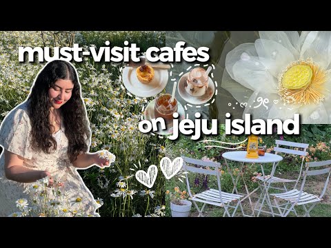hidden gem cafes in jeju island 🇰🇷 | underrated, fairytale spots✨🌊