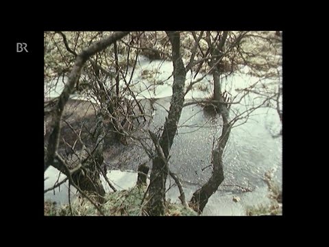 Topographie - Die Pegnitz. Der Lauf eines Flusses