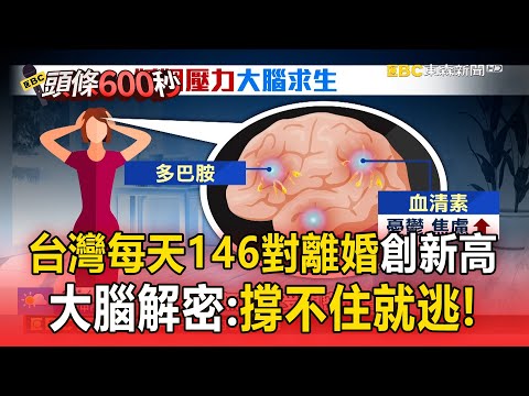 台灣離婚率新高「是求生」每天146對離婚！大腦解密：撐不住就逃【頭條600秒】