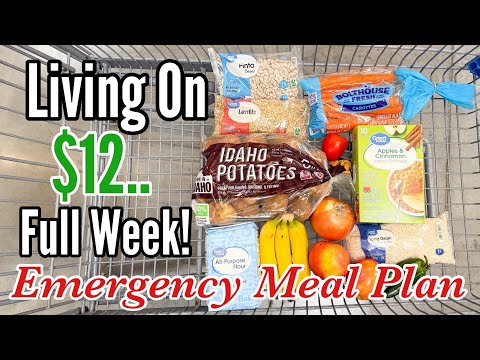 Eating on $12 a Week | Easy, Healthy & Cheap Recipes for an Emergency Budget