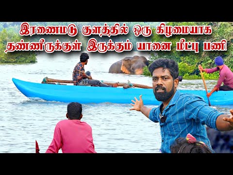இரணைமடு குளத்தில் ஒரு கிழமையாக தண்ணீருக்குள் இருக்கும் யானை மீட்பு பணி