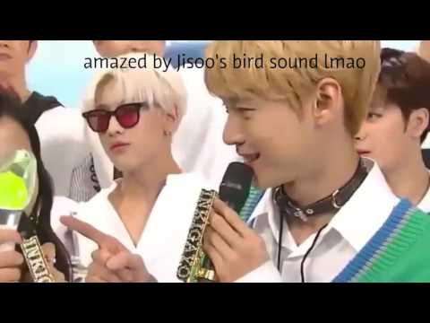 GOT7 Jackson x BLACKPINK Jisoo Moments - JackSoo