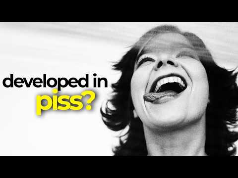 I Photographed Björk and Nearly Ruined the Best Picture of My Career