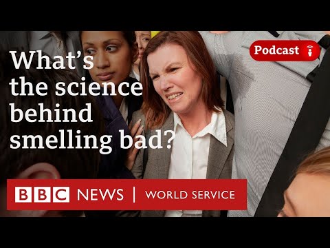 Why do armpits smell? - CrowdScience podcast, BBC World Service