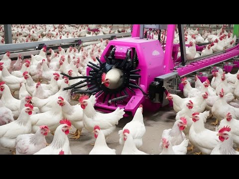 30 Minutes Satisfying Video Working & Exciting Factory Machines, Ingenious Tool, Admirable Worker ▶4