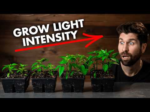 Don't Start Seeds Until You Know This!