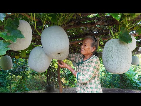 冬瓜大豐收，阿婆和閨蜜花4天學做冬瓜塘，結果翻車了Grandma makes traditional Chinese winter melon candy food｜广西 美食｜ 玉林阿婆