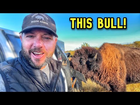 Dunbar & Big Joe Run the Show. I Just Bring the Cubes!