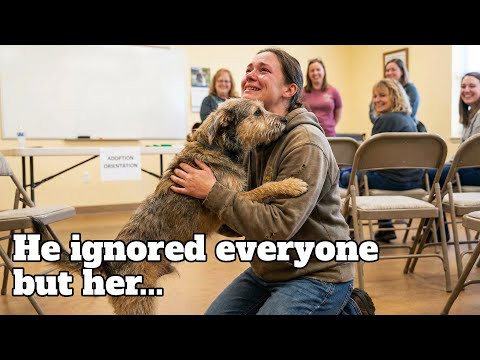 Watch The Moment This Dog Chooses His Person🐾❤️