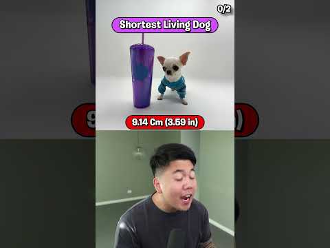 Can You Guess These World Records?