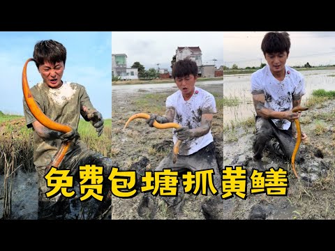 水猴子抓鳝鱼和老板一人一半，这种稳赚不赔的买卖过瘾！