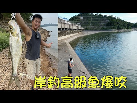 香港釣魚2023︱探釣船灣淡水湖 巧遇釣魚狂人高級魚大爆咬！這也太不科學了吧？水塘釣記EP5