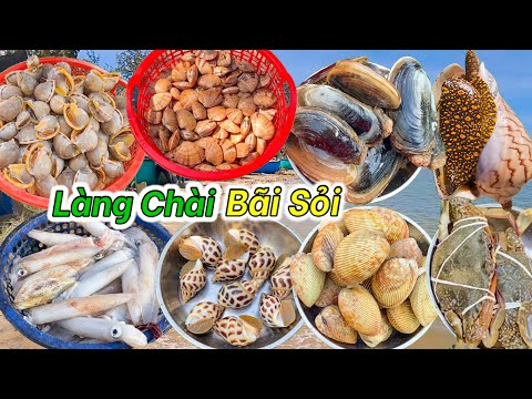 Đừng Nên Bỏ Qua Làng Chài Này Khi Du Lịch Hoà Thắng Bình Thuận