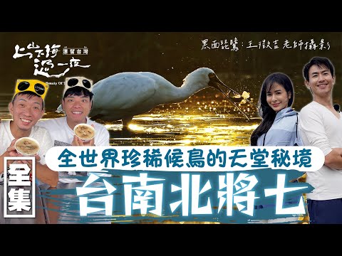 漂留台灣第二站來到台南北將七 愛鳥人士必看這集！探訪全世界珍稀候鳥的保育區 一大片黑面琵鷺真是太壯觀啦！20240215 EP142 上山下海過一夜 漂留台灣｜艾美 楊盛堯MAX 熱血阿傑 蕭志瑋八弟