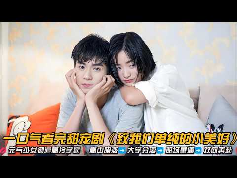 💋元气少女倒追高冷学霸❗高中暗恋➡️大学分离➡️职场重逢➡️最萌身高差校园爱情❗⭐纯爱真的yyds❗一口气看完甜宠剧《致我们单纯的小美好》