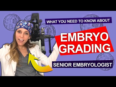 The COMPLETE GUIDE to Embryo Grading