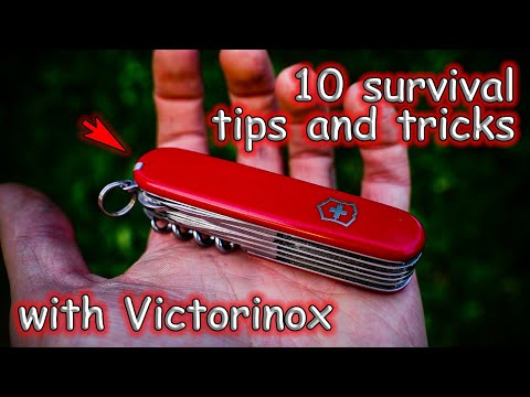 Tips and Tricks for Wilderness Survival with the Swiss Army Knife