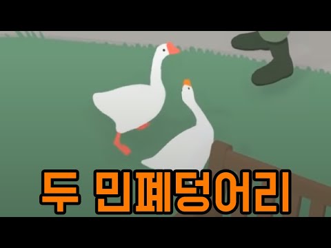 잃어버린 화질과 두 거위 [ 거위 게임 ] 1부