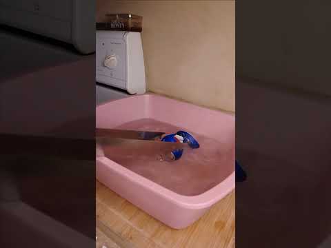 Vacuum implosion with a soda can