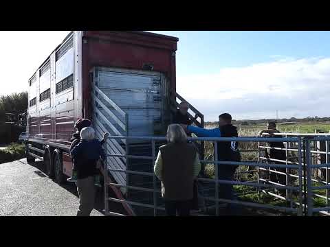 Oare: A place of many faces