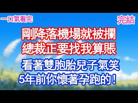 剛降落機場就被攔，總裁正要找我算賬，看著雙胞胎兒子氣笑：5年前你懷著孕跑的！#愛情#甜寵文#爽文#故事分享