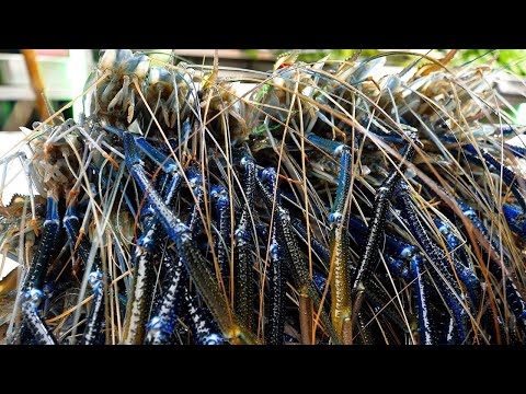 Seafood Heaven! A Collection of Bangkok Street Food